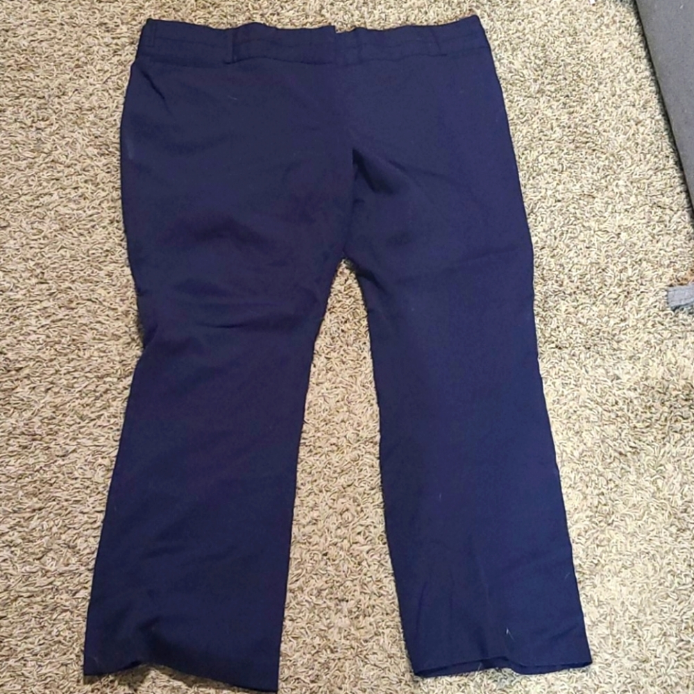 Maurices 24R blue pants